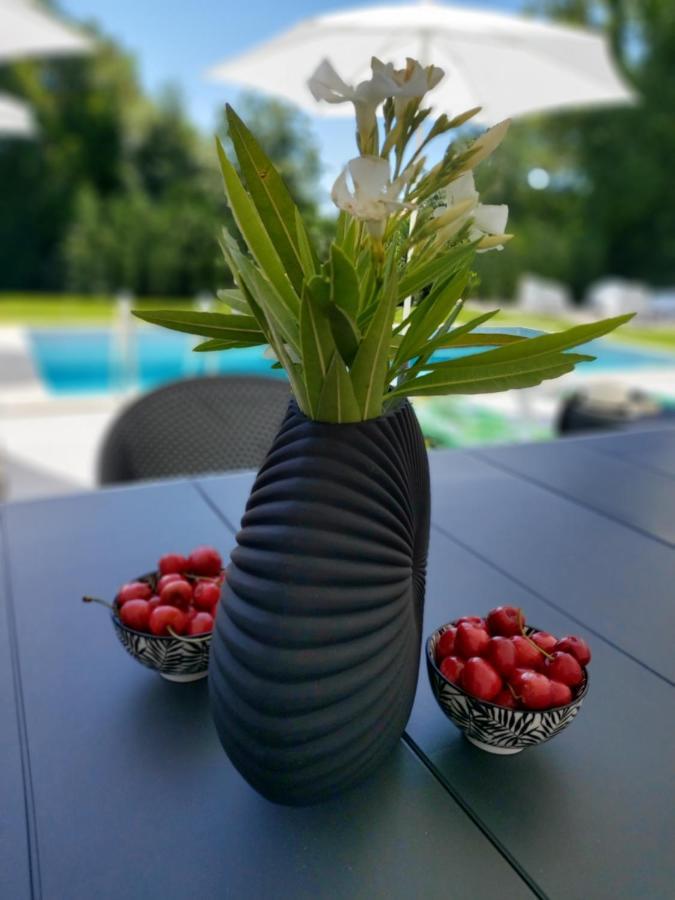 Villa Destiny Nedescina, Istrien, Kroatien Dış mekan fotoğraf