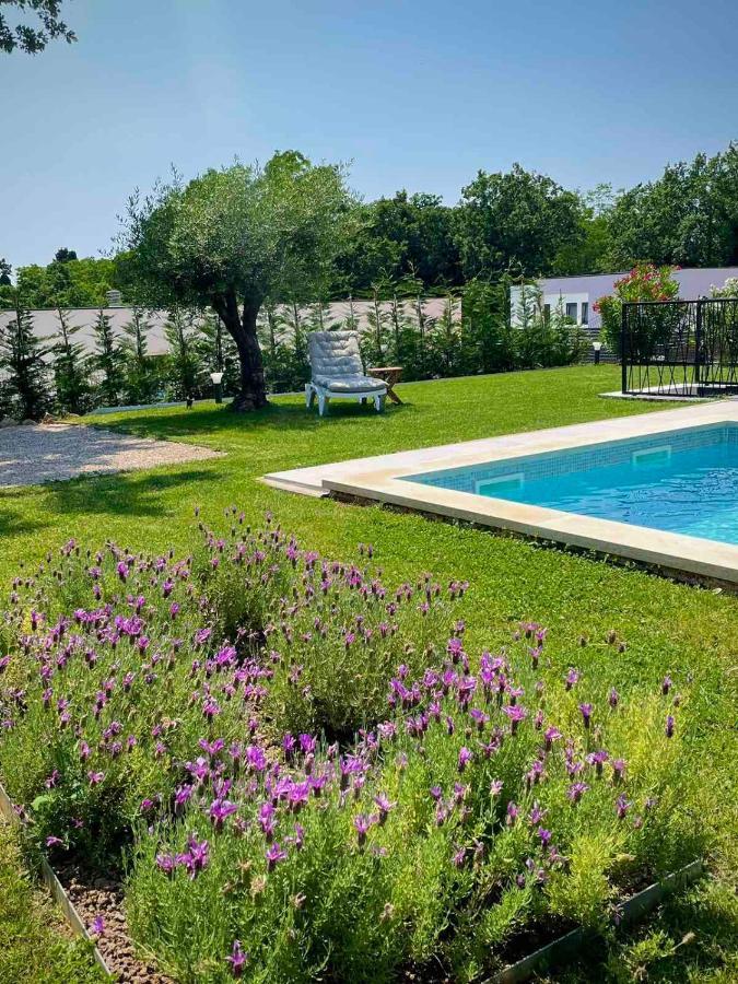 Villa Destiny Nedescina, Istrien, Kroatien Dış mekan fotoğraf